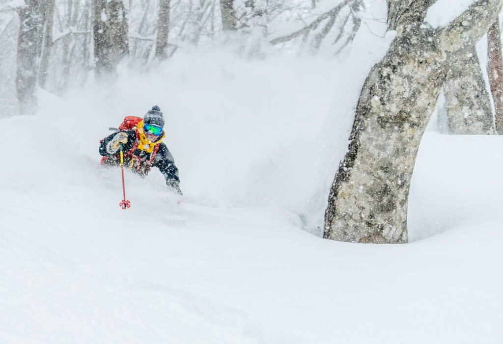 Dave Enright, Hakuba