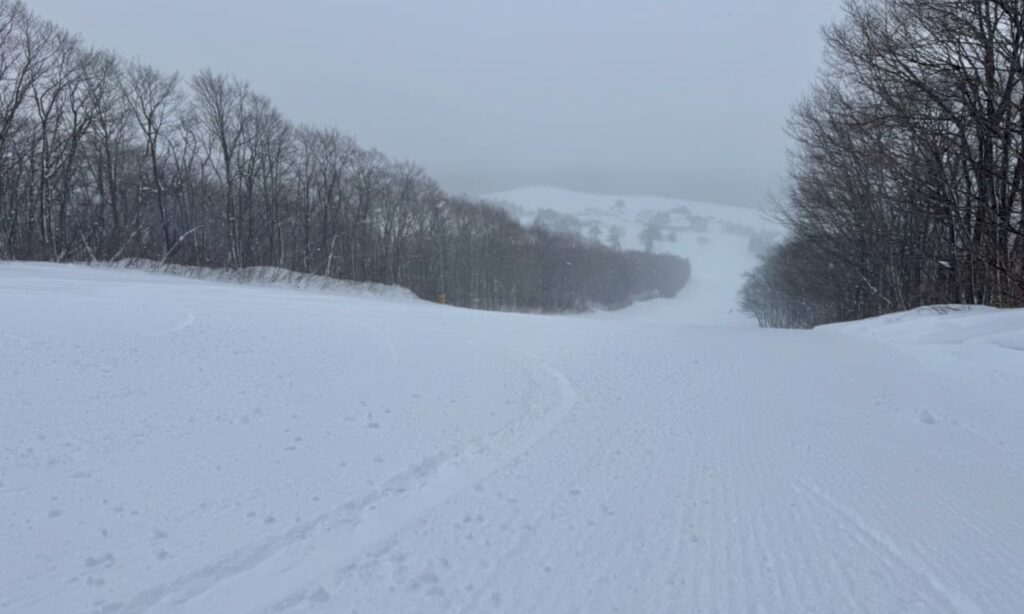 Lower part of E3 trail from the top of the second pair lift