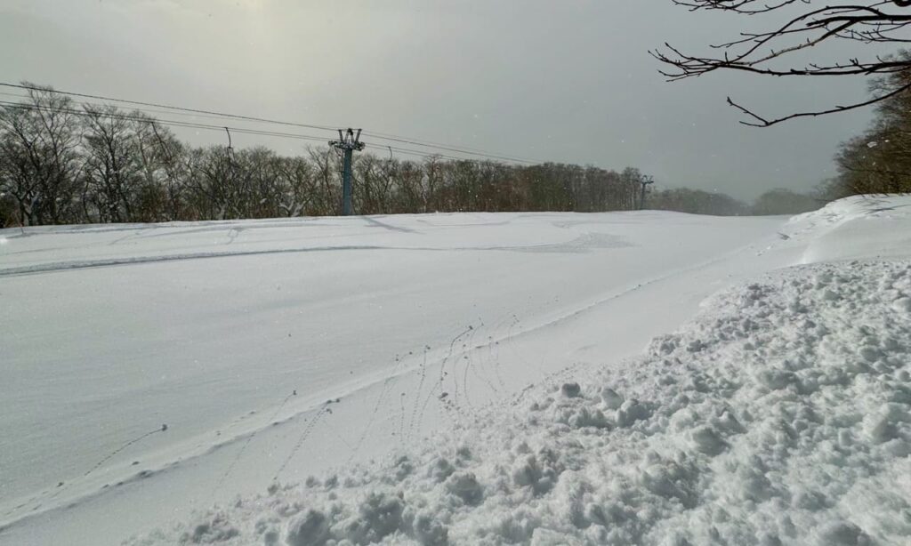 Top of W1 course with some fresh snow cover.