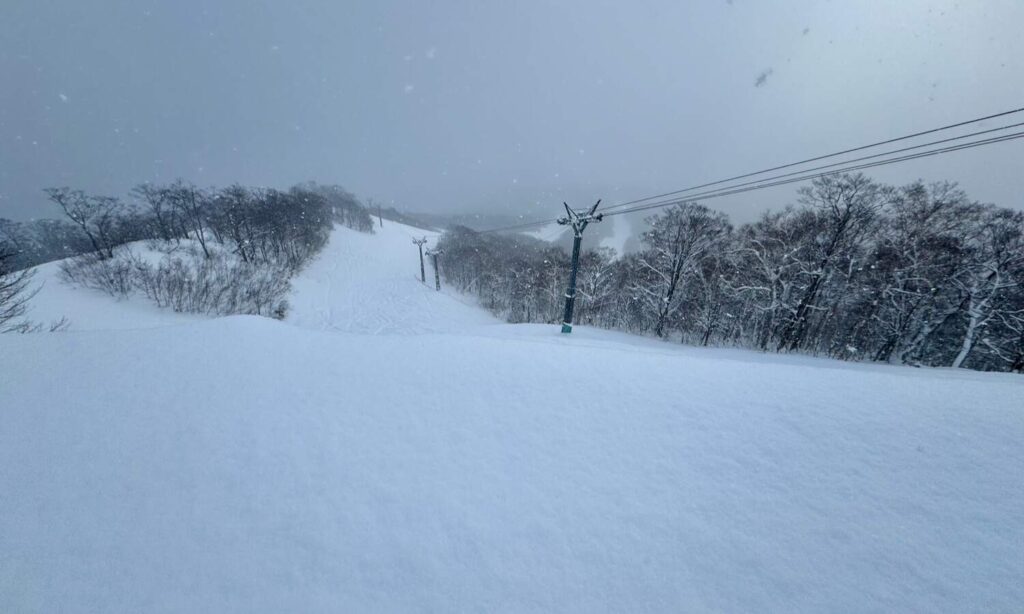 Top of C3 trail off the Sunshine Lift on a powder day