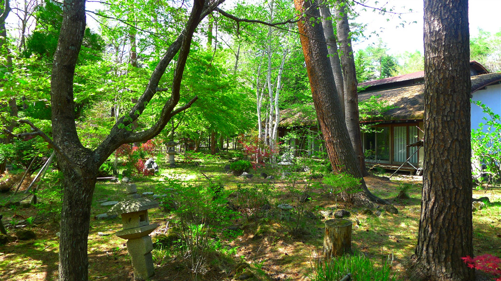 Karuizawa Bypass-Front Shirakabadai Land For Business Use