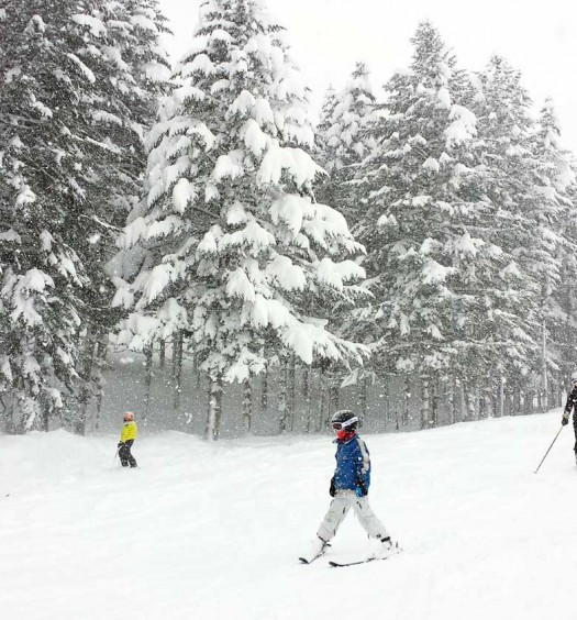 Beginner skiers on Family run in Niseko, Japan