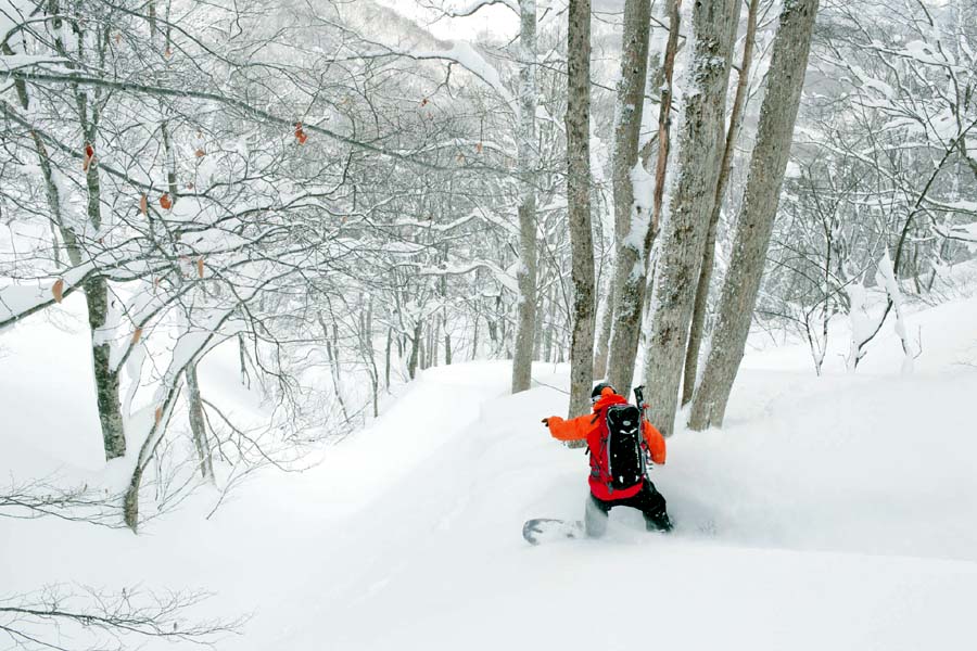 Madarao Ski Resort powder snowboarder