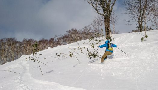 ¥2,000 cat skiing on its way to Niseko