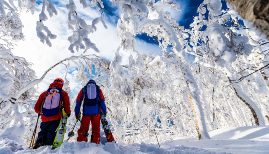 How to ski Japan on a budget