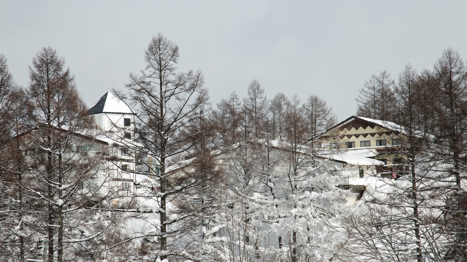 Buying ski property in Madarao, Japan