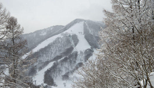 Madarao hotel drops dream deal for skiers on a budget … and it includes 20 free drinks