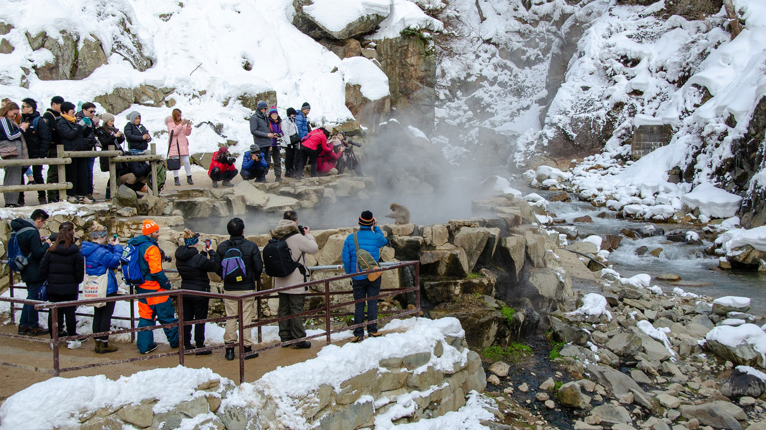 Tourists in Japan