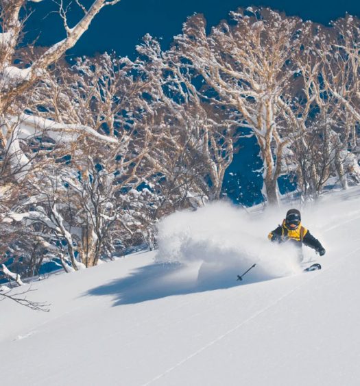 Best ski resorts in Japan for powder