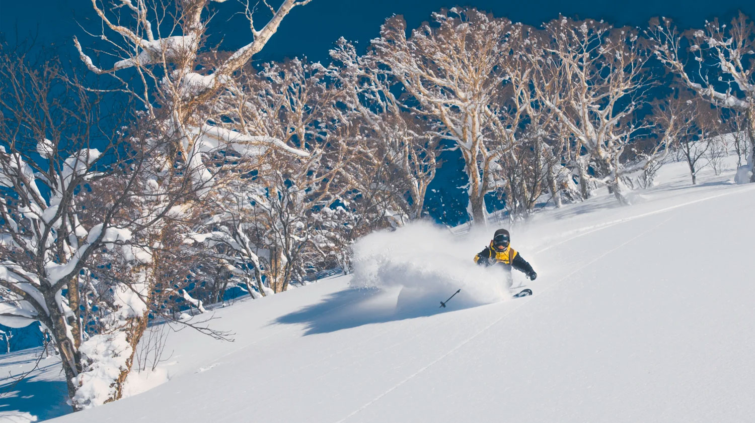 Best ski resorts in Japan for powder