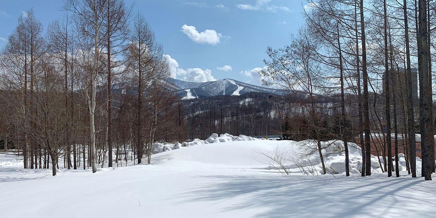 Rusutsu residential land for sale