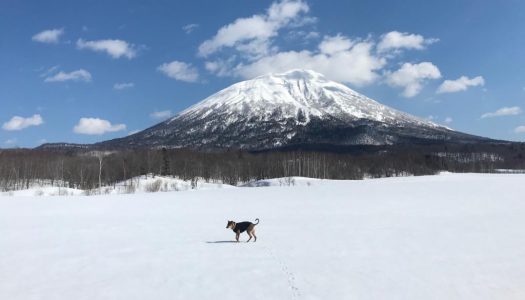How to spend a perfect day in Hokkaido with Habitat Hokkaido founder Henry Turner
