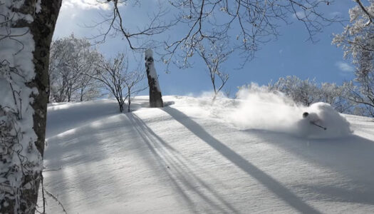 ‘Mori’ is a breathtaking tribute to tree skiing in Japan