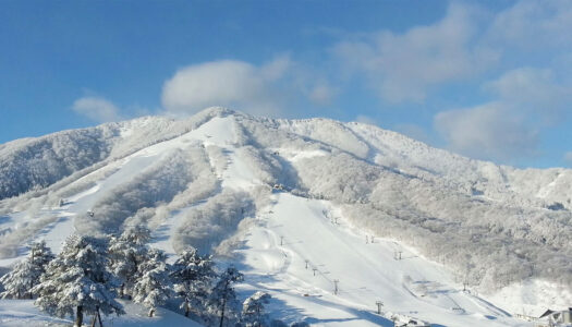 How an Australian entrepreneur is helping women thrive on Japan’s ski slopes