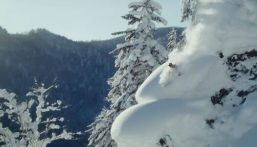 Award-winning ski film DESCENDANCE features some tantalising Hokkaido footage