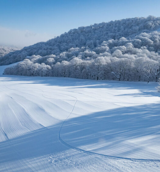 Powder covered groomed run at NEKOMA Mountain