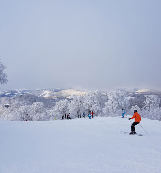 Nozawa Onsen, beginner ski resort