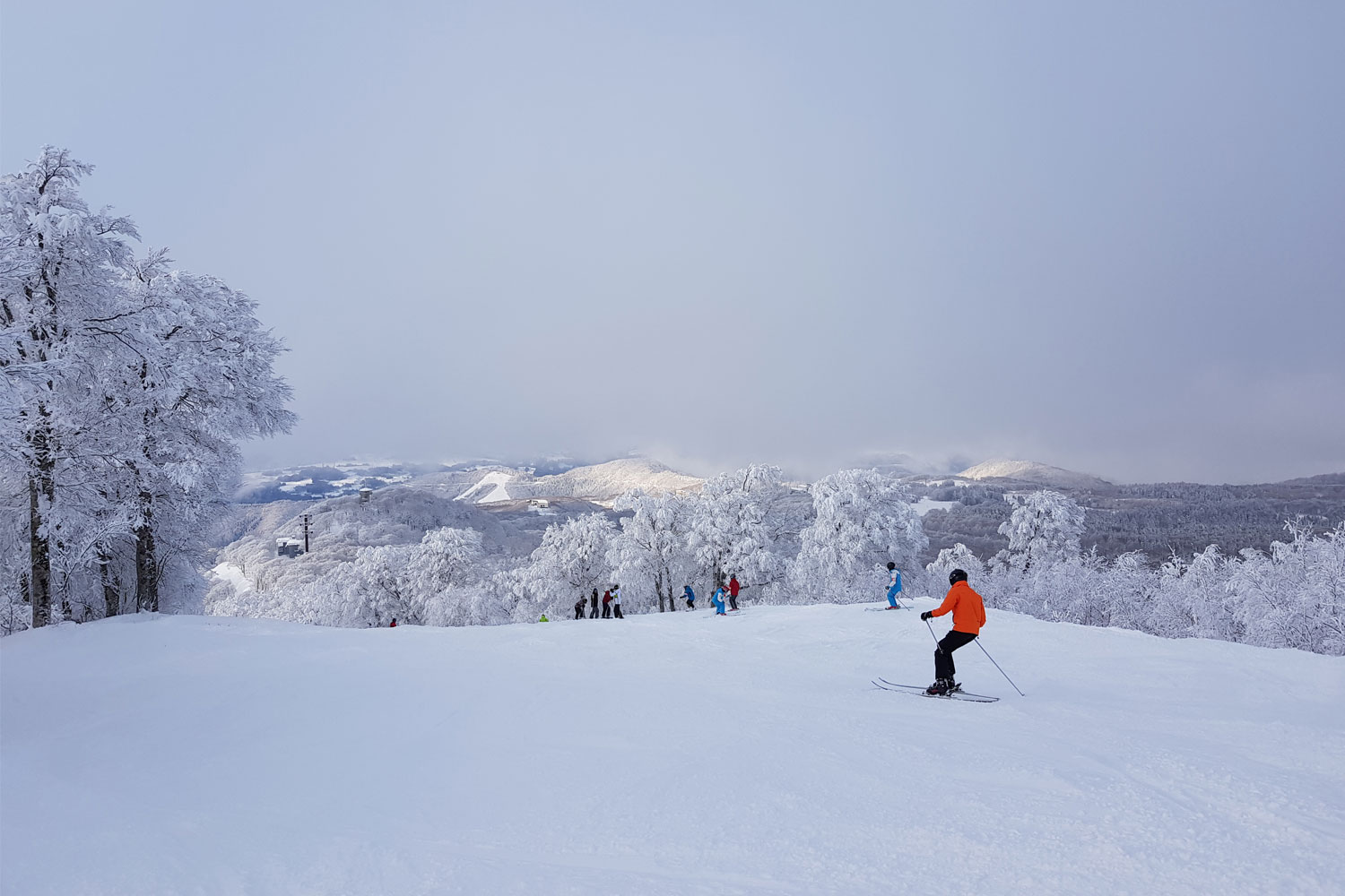 Nozawa Onsen, beginner ski resort