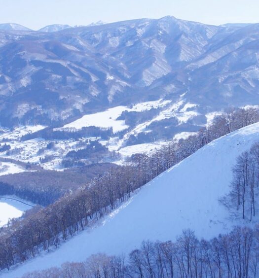 Snow Resort Romance no Kamisama