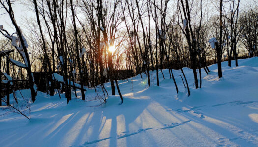 10 ski resort land plots in Japan for under US$160,000