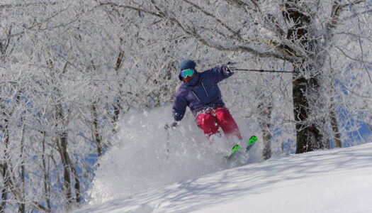 If I had seven days to master powder skiing in Japan, this is where I’d go