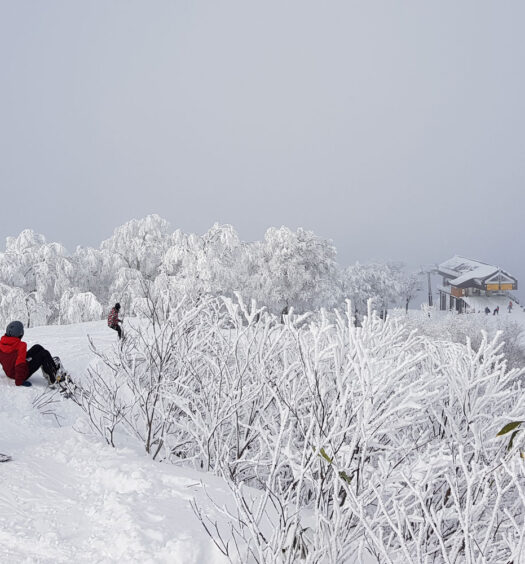 Nozawa Onsen