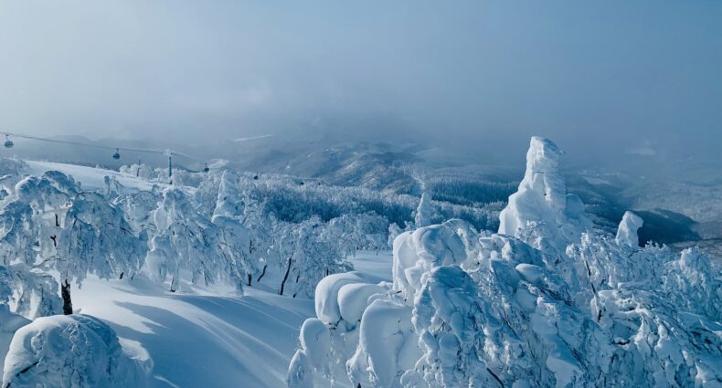 Snow Monsters overlooking Ani Ski Resort