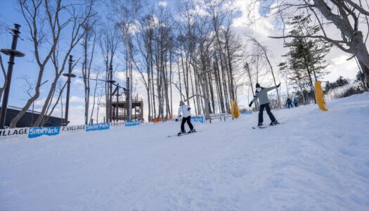 Japan has invented a totally new way for beginners to learn to ski