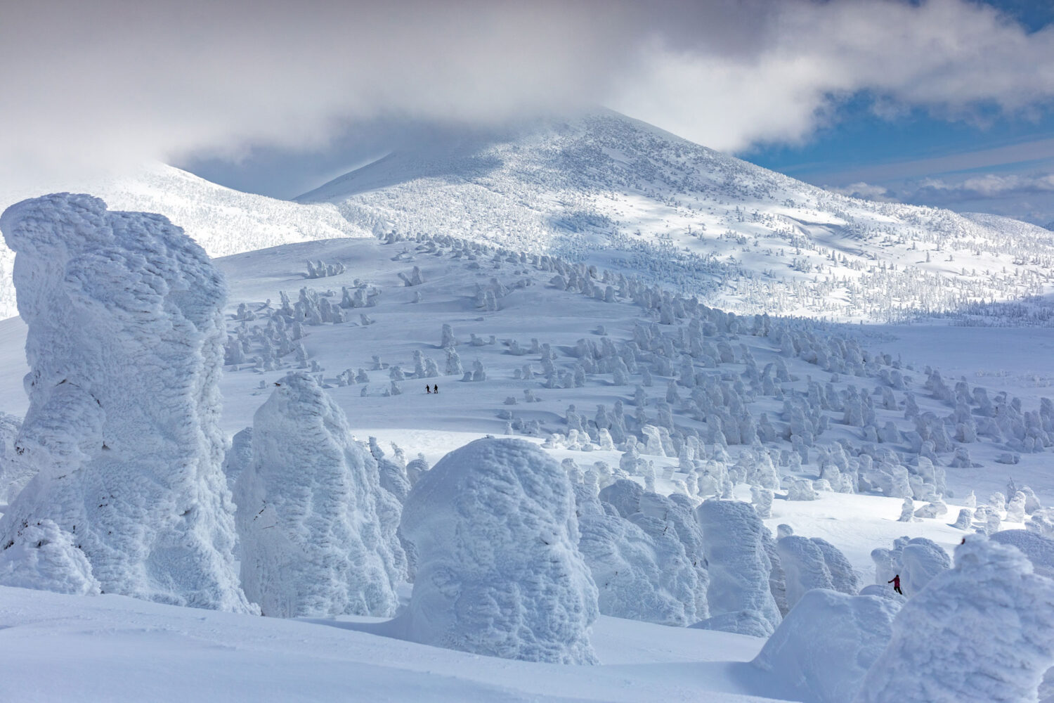 Hakkoda is the "holy grail" of powder skiing in Japan"