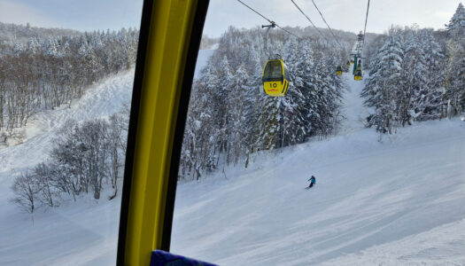 Watch this space: Japanese ski resort aiming to become global epicentre of regenerative medicine