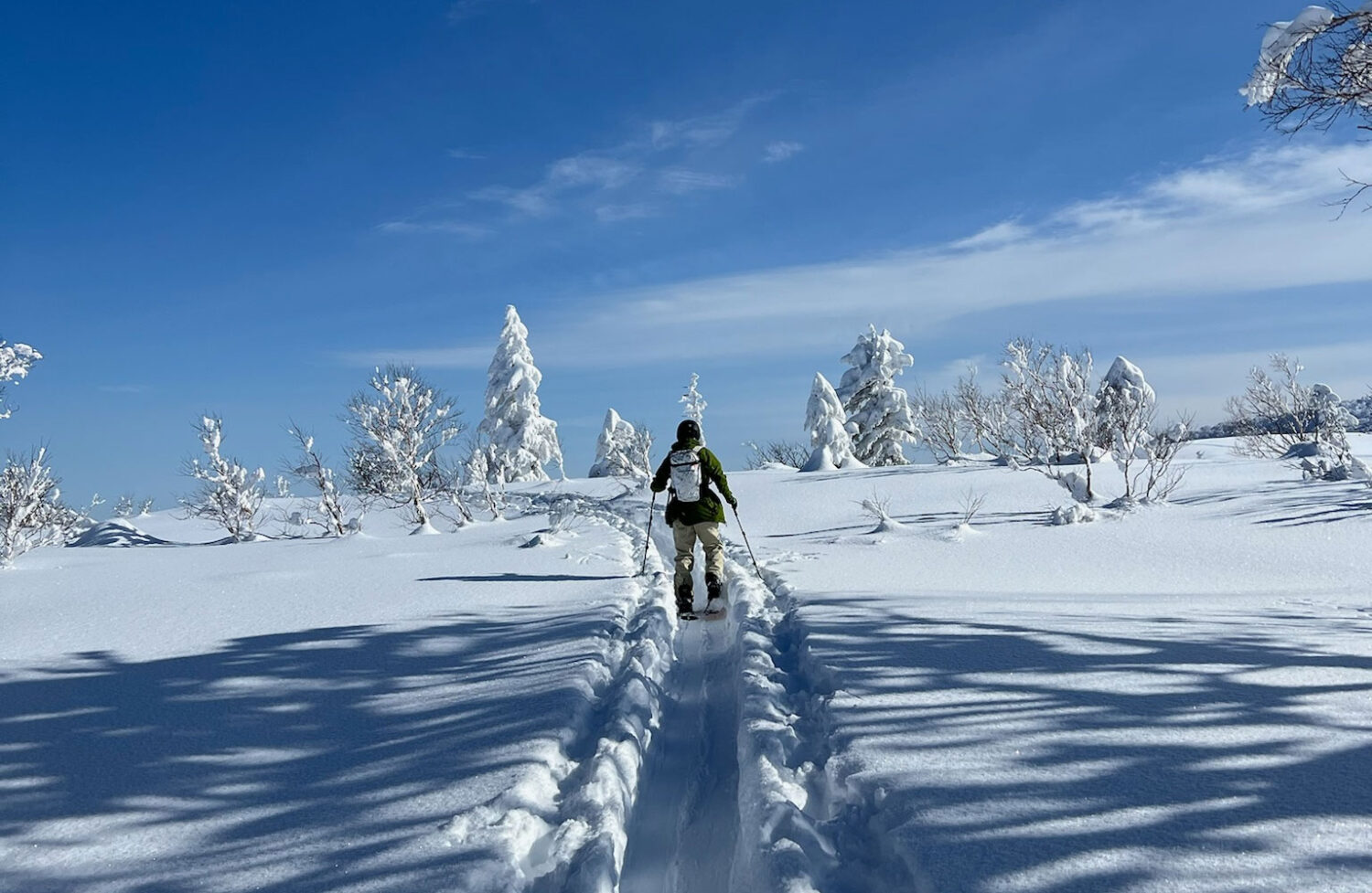 Trekking back to the resort. Image: Robin Watts