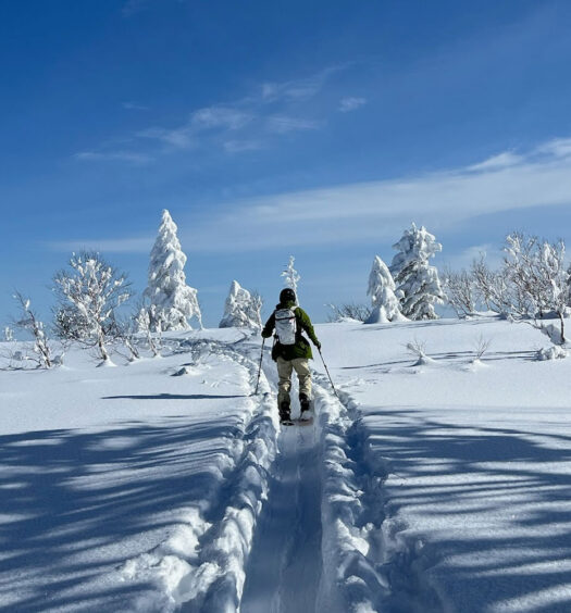 Trekking back to the resort. Image: Robin Watts