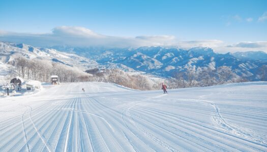 You asked, we answered: “We want to experience Japanese powder and avoid the rowdy party crowds”
