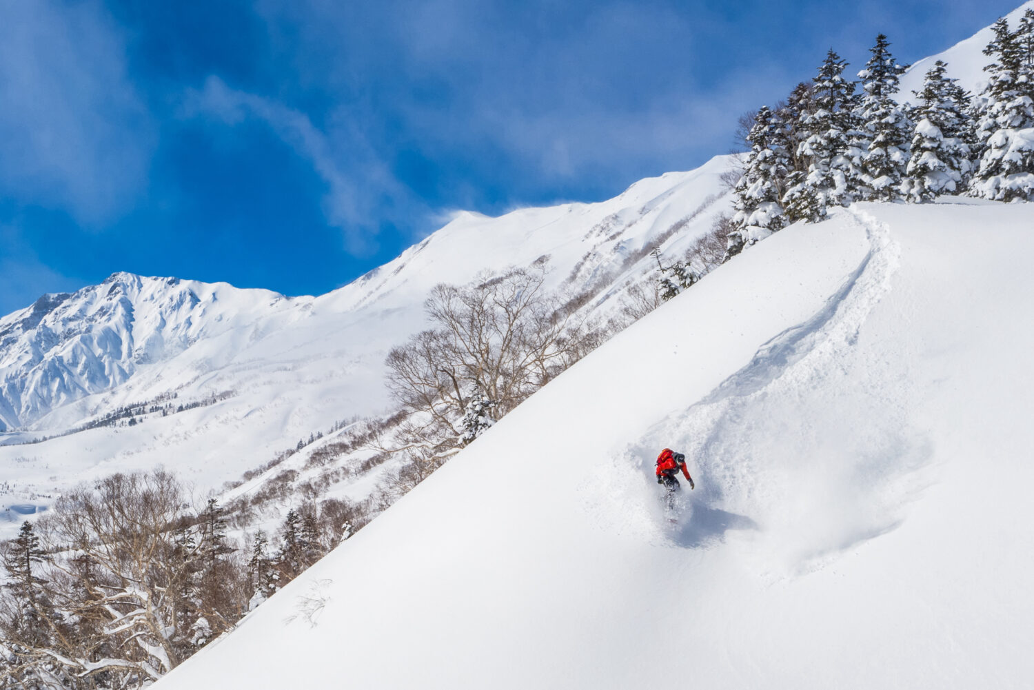 Dave Enright, Hakuba