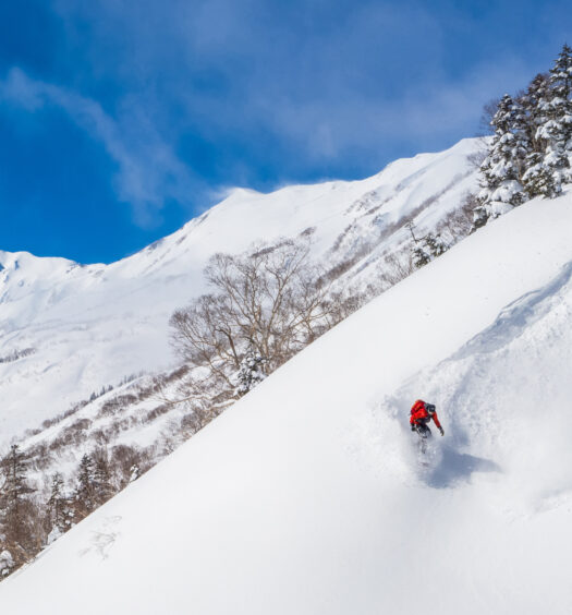 Dave Enright, Hakuba