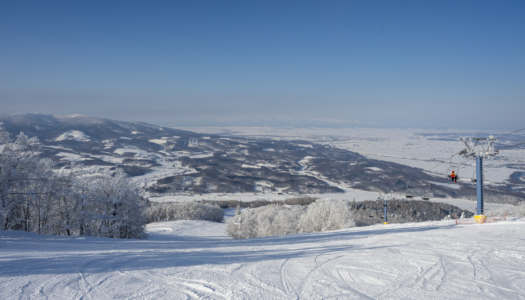 Watch this space: Japanese ski resort aiming to become global epicentre of regenerative medicine
