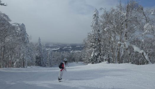 For US$115K, you can own a piece of one of Japan’s most intriguing ski resorts