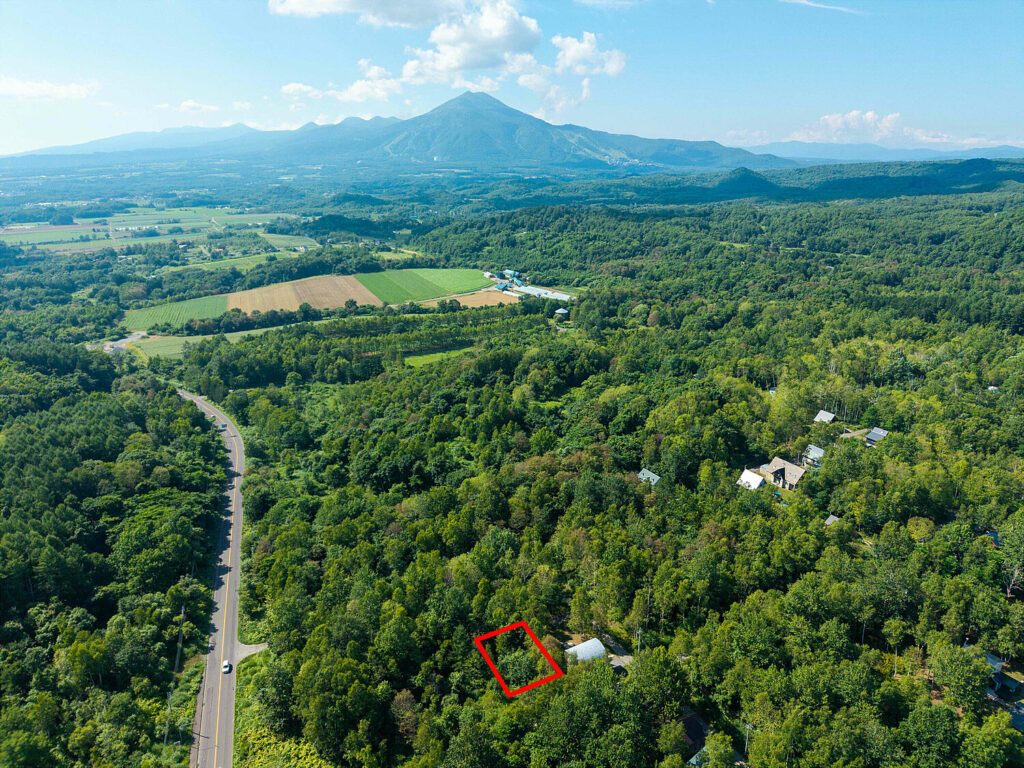 Beautiful Kondo Forest Land