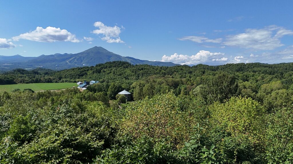 Kondo 741 - Prime Flat Land with Stunning Mt. Yotei Views