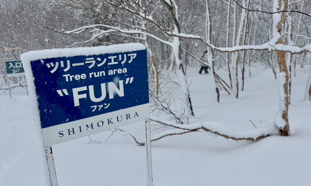 Entrance to the “FUN” tree-zone run at Shimokura, Hachimantai Resort. Image: Eliot Cochrane