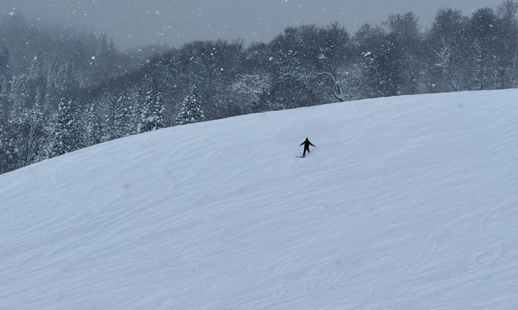 Powder turns between the Champion and Family trails