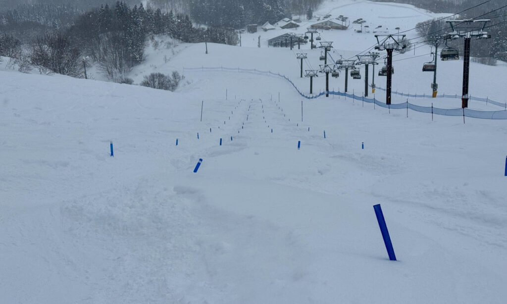 Mogul corridor with powder on each side on the Freeride trail