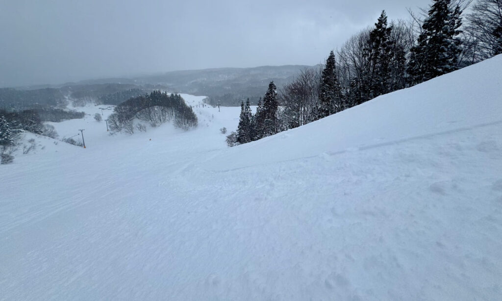 Lower pitch of the Paradise trail on a powder day