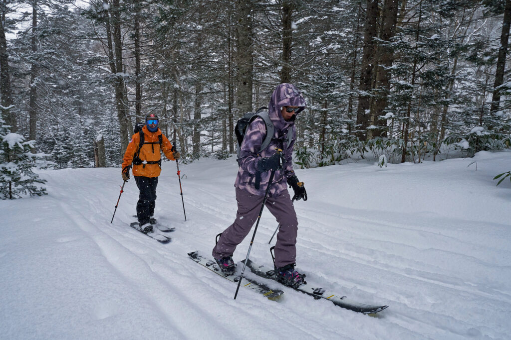 The route through the forest