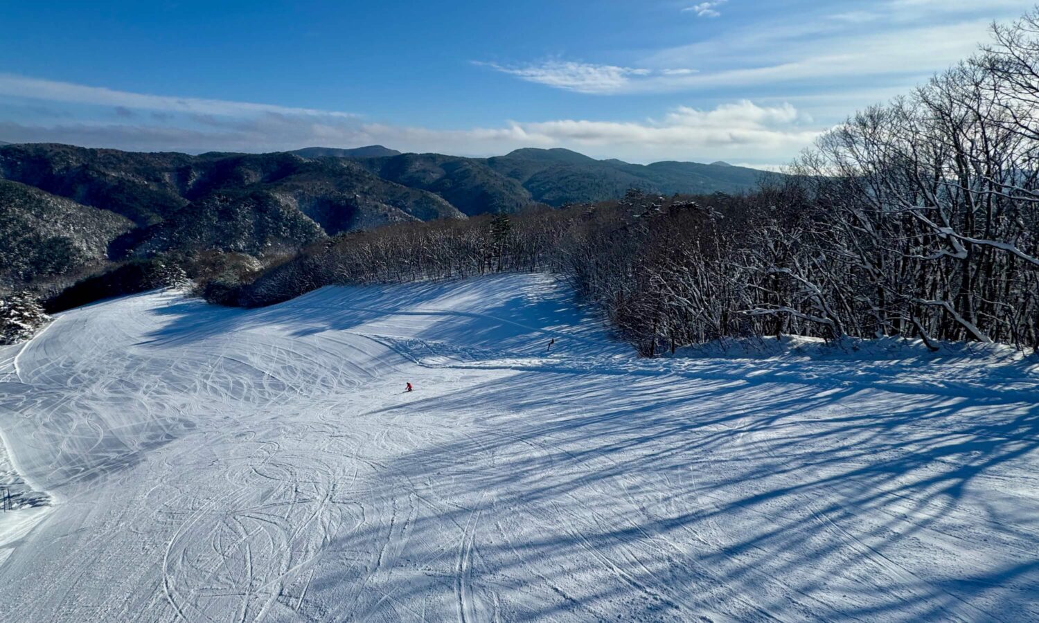 Overview of the upper D trail from the second pair lift.