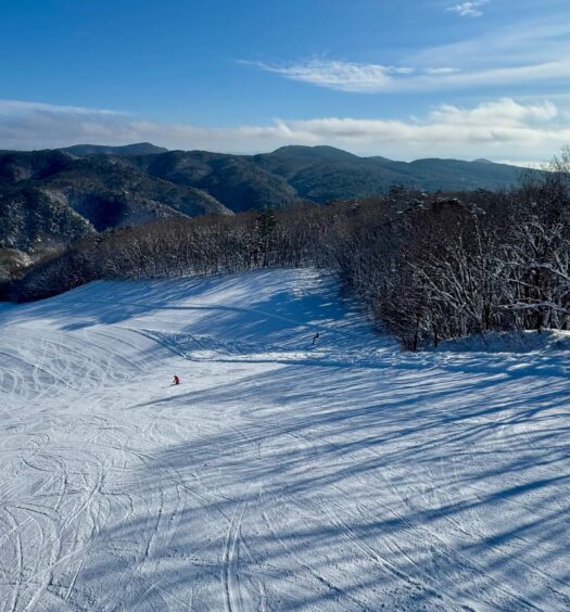 Overview of the upper D trail from the second pair lift.