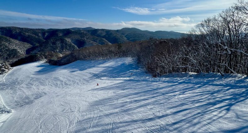 Overview of the upper D trail from the second pair lift.
