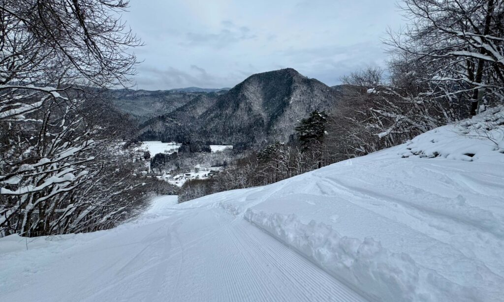 Top of the C trail on a powder day at Namari Onsen.