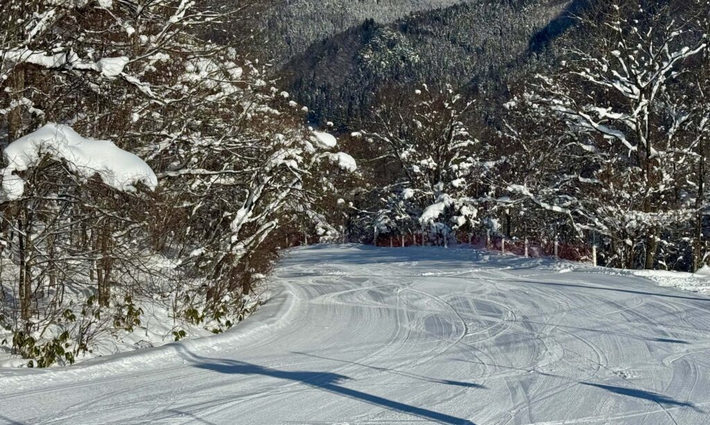 The lower section of the D trail leading to the top of A trail. 