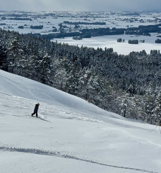 Snowboarder riding light powder on the Champion Course.